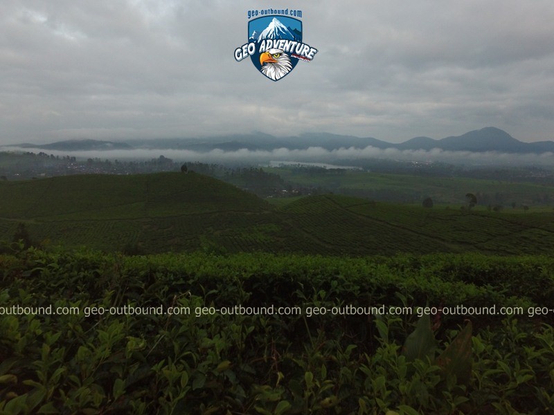 WISATA OFFROAD KEBUN TEH PANGALENGAN BANDUNG