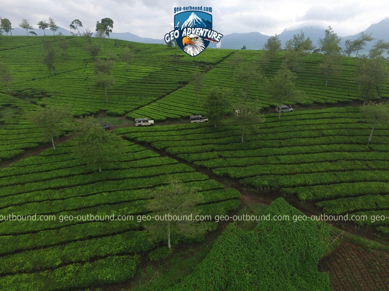 WISATA OFFROAD KEBUN TEH PANGALENGAN BANDUNG