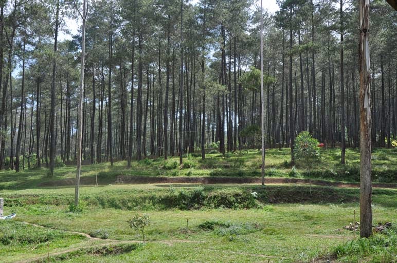 Outbound Grafika Cikole Lembang Outbound Grafika Cikole Lembang
